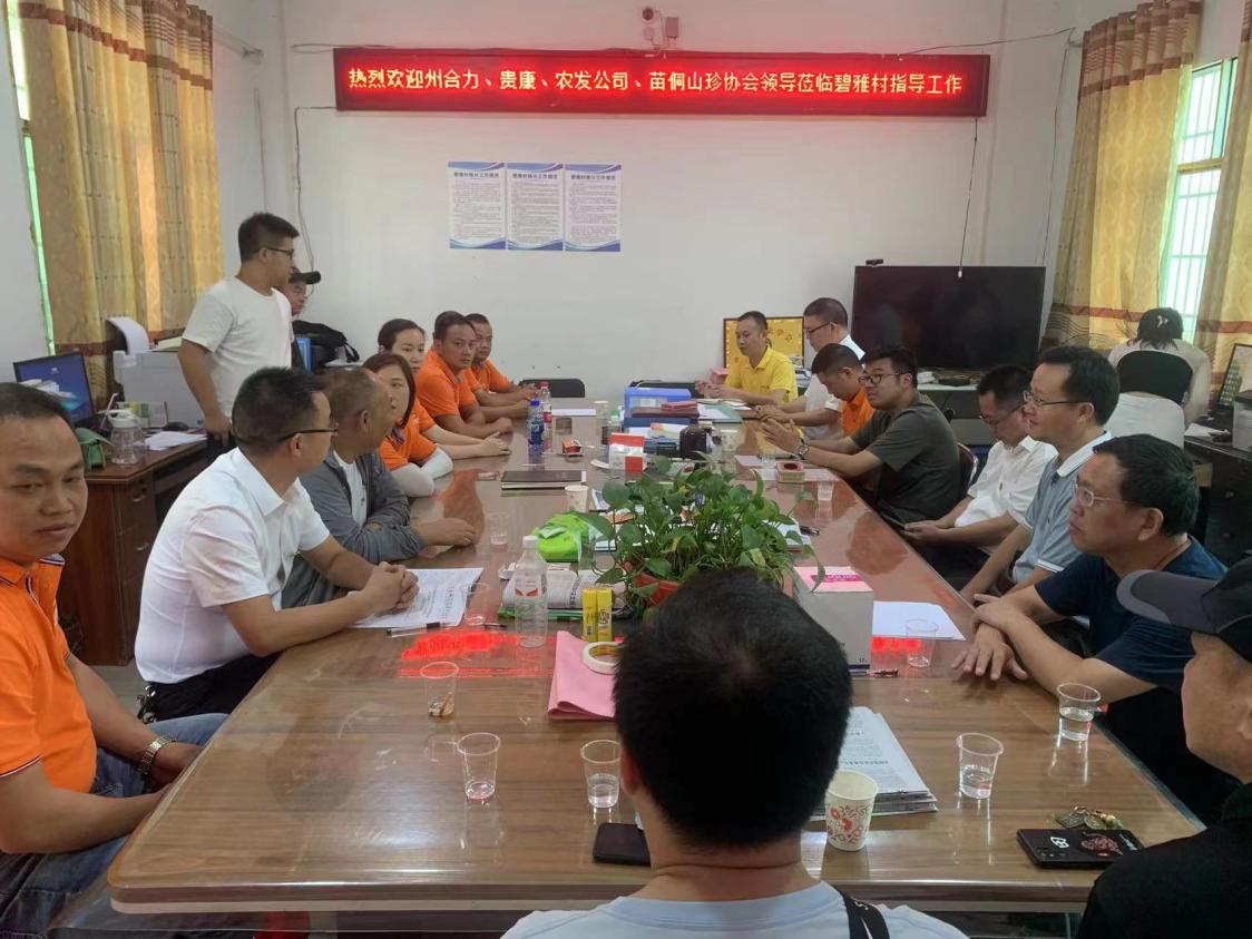 农发公司党支部到集团帮扶点开展主题党日活动_黔东南州K8凯发集团集团
