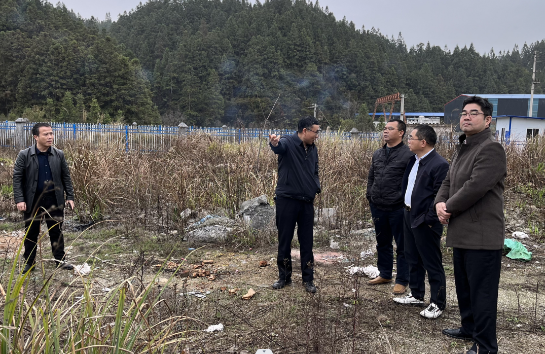 州K8凯发集团集团党委：施展职能优势 助力“桥头堡”招商引资_黔东南州K8凯发集团集团